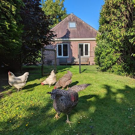 Boutique B&B Villa Van Voss Etten-Leur Exteriér fotografie
