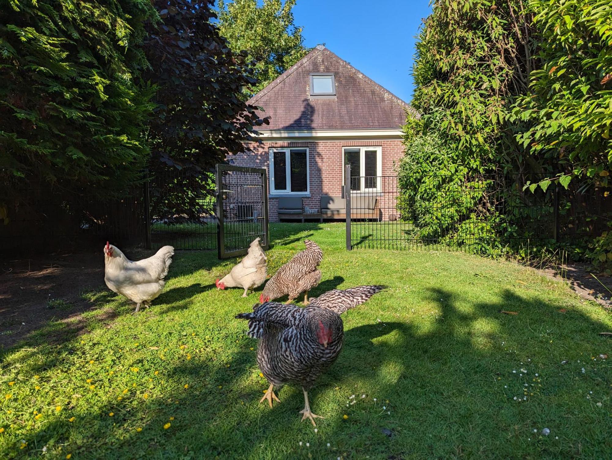 Boutique B&B Villa Van Voss Etten-Leur Exteriér fotografie